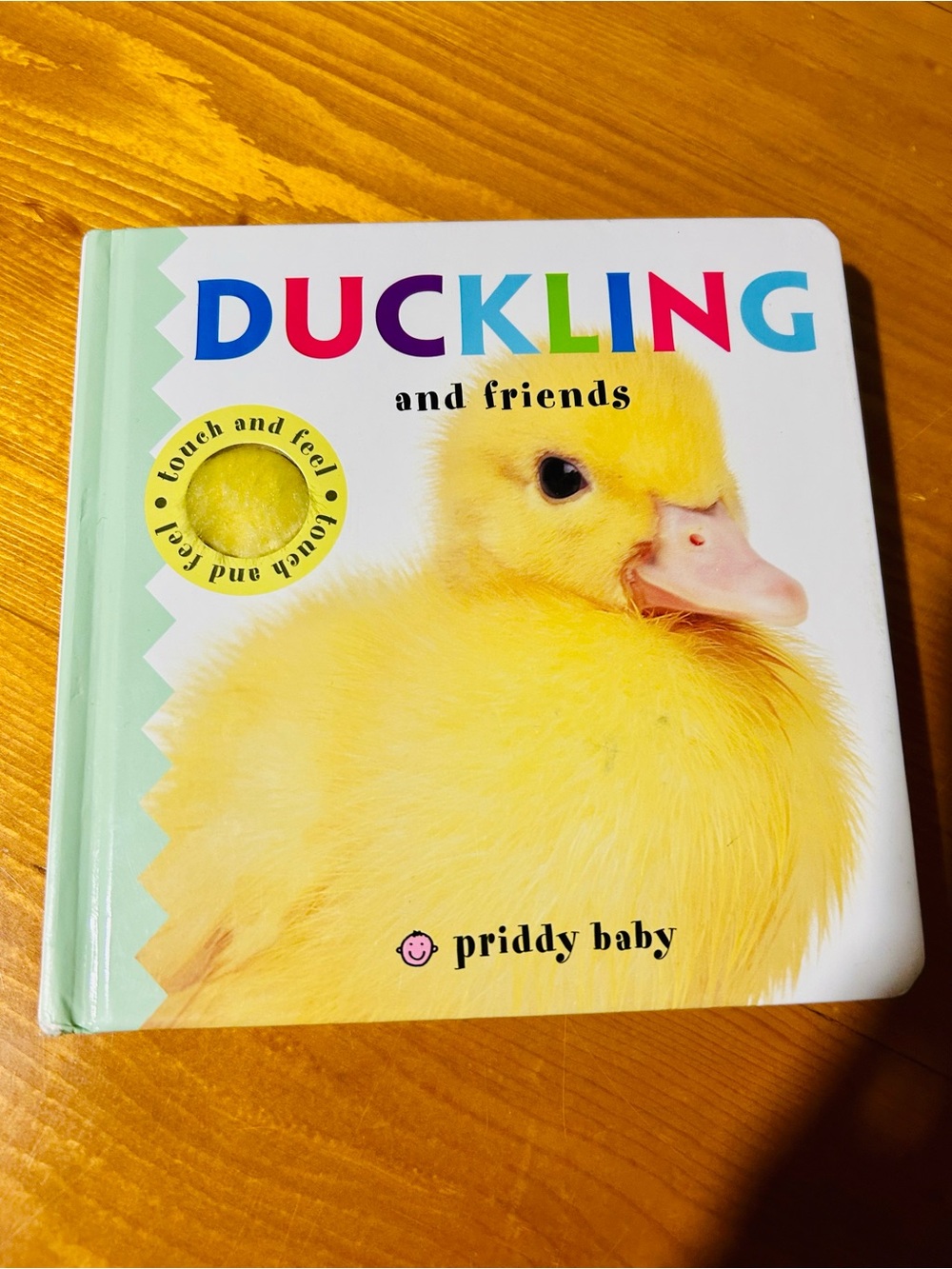 Duckling and Friends Touch & Feel Board Book - Yellow by